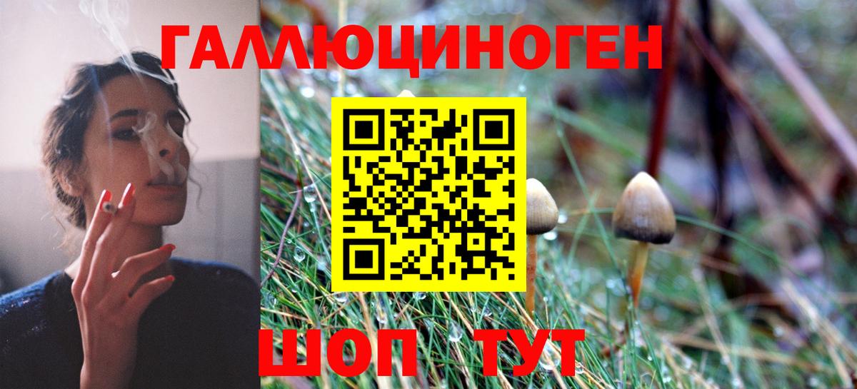 Подольск  Псилоцибиновые грибы Psilocybe  Вход с VPN 