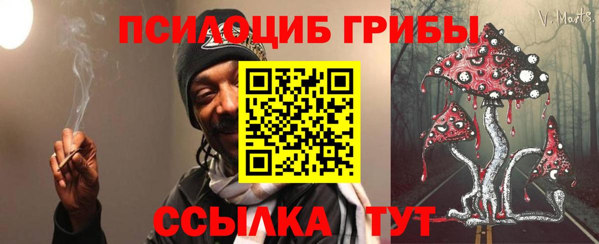 Псилоцибиновые грибы Cubensis Подольск